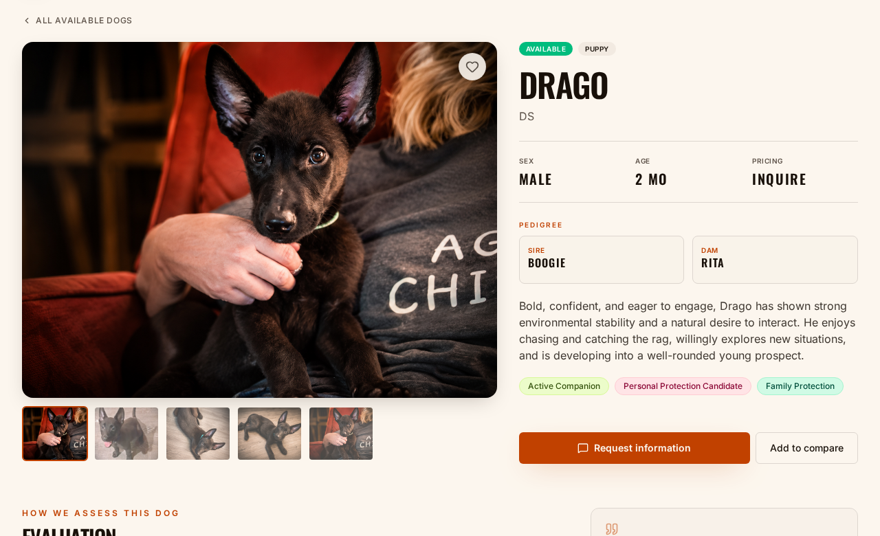 Dog profiles done right